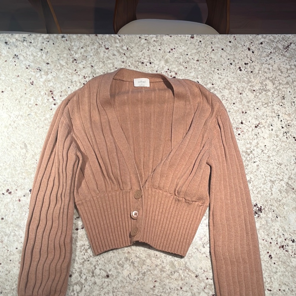 Aritzia Wilfred Sweater